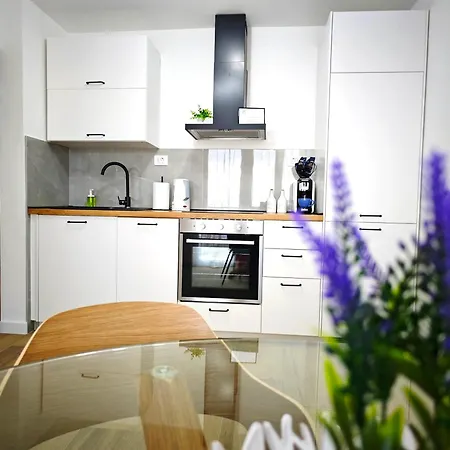 L&t Apartment Rijeka